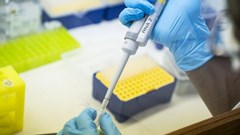 Wits University researchers are scrambling to manage the fallout from the decision by US President Donald Trump to slash funding to South Africa. Photo: Ihsaan Haffejee / GroundUp