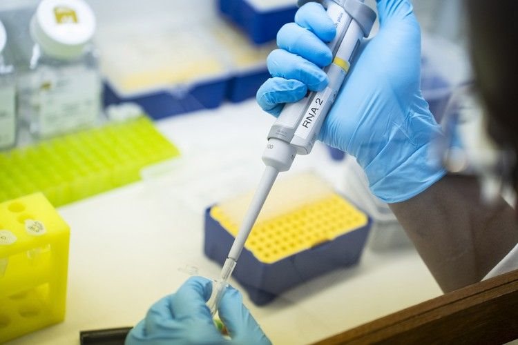 Wits University researchers are scrambling to manage the fallout from the decision by US President Donald Trump to slash funding to South Africa. Photo: Ihsaan Haffejee / GroundUp