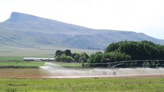 Scientists at the University of Pretoria have found that fresh vegetables are being contaminated by disease-causing bacteria through irrigation from polluted rivers and boreholes. Photos: Steve Kretzmann / GroundUp