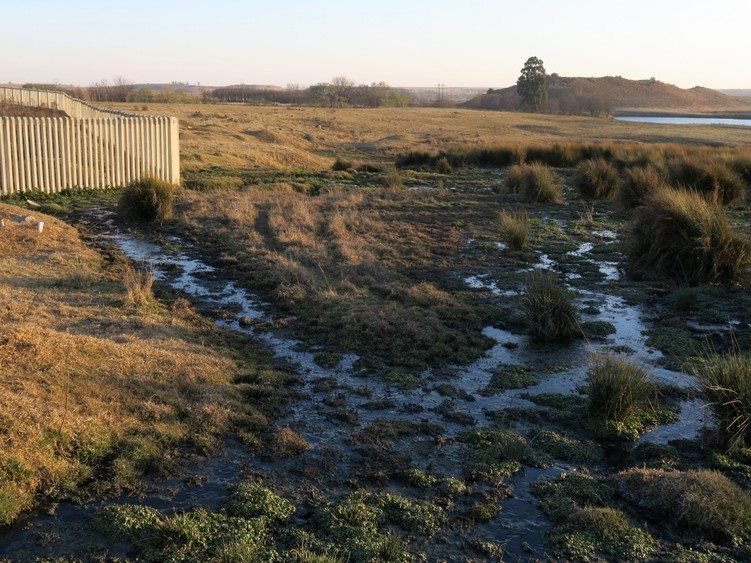 Untreated sewage leaks from a sewage treatment works in Standerton, Mpumalanga, into the Vaal River which is visible in the background.