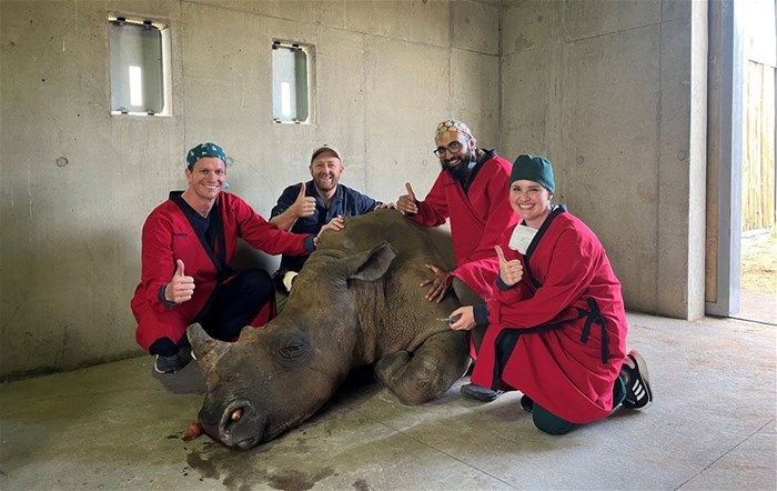 The team responsible for anaesthetics after the operation when Houdini started his recovery process in the faculty's wildlife clinic. Nasal tubes can still be seen in Houdini's nostrils. From left to right are Dr Chris Blignaut, Dr Jacques O'Dell, Dr Abdur Kadwa and Dr Cizelle Naude.