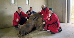Marathon surgery by UP vets breathes new life into white rhino