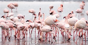 Image source: jcomp from