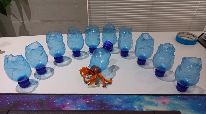 Zuzu the Hermit Crab: Where animation meets activism