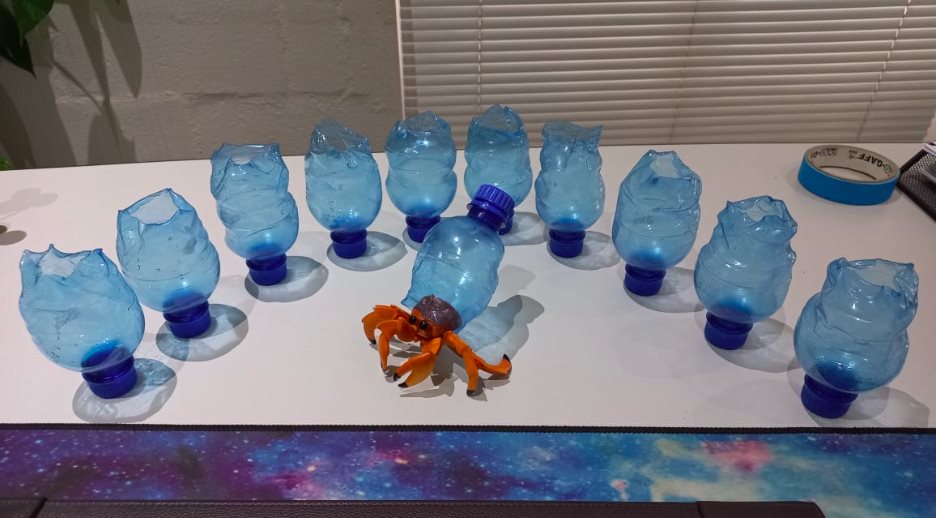 Zuzu the Hermit Crab: Where animation meets activism