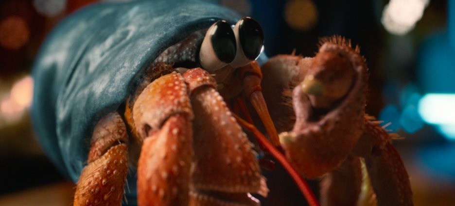 Zuzu the Hermit Crab: Where animation meets activism