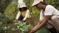 Most South African farmers are Black: Why Trump got it so&#160;wrong