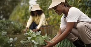 Most South African farmers are Black: Why Trump got it so&#160;wrong