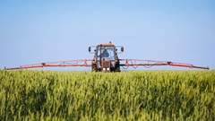 Source: ©Zoran Orcik via