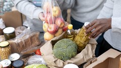 Food security in SA: Bridging the gap between national and household food availability