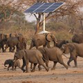 A group of elephants walk near a solar panel at a watering hole inside Hwange National Park, in Zimbabwe, 23 October 2019. Reuters/Philimon Bulawayo/File Photo