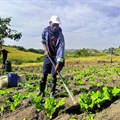 Thanda’s agroecology initiative cultivates opportunities for youth as unemployment rises