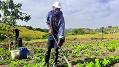 Thanda&#x2019;s agroecology initiative cultivates opportunities for youth as unemployment rises