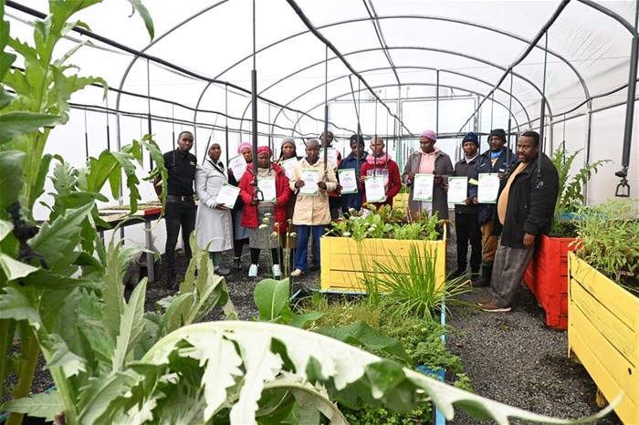 Food gardens connect: Bridging the gap betwen poverty and economic opportunities