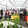 Food gardens connect: Bridging the gap betwen poverty and economic opportunities