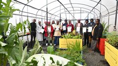 Food gardens connect: Bridging the gap betwen poverty and economic opportunities