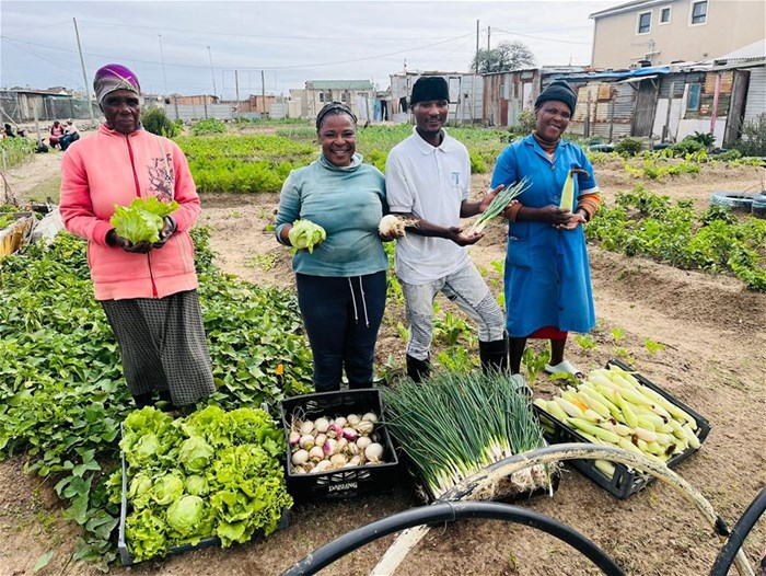 Food gardens connect: Bridging the gap betwen poverty and economic opportunities
