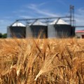 Agriculture GDP outperforms after surging 15.8% in Q1 2025