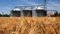 Agriculture GDP outperforms after surging 15.8% in Q1 2025