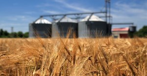 Agriculture GDP outperforms after surging 15.8% in Q1 2025