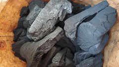 Image by Hans from Pixabay