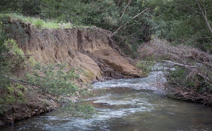 Insights into H&M and WWF's partnership for a more sustainable future