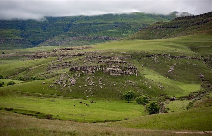 Insights into H&M and WWF's partnership for a more sustainable future