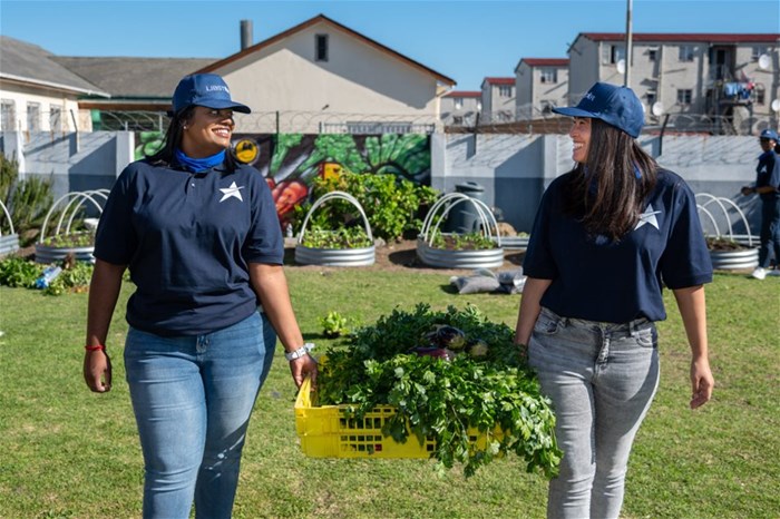 Sowing the seeds of food security
