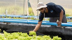 Empowering South Africa&#x2019;s youth through education and skills development