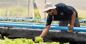 Empowering South Africa&#x2019;s youth through education and skills development