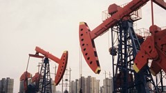 Image credit: Raff Liu on Unsplash