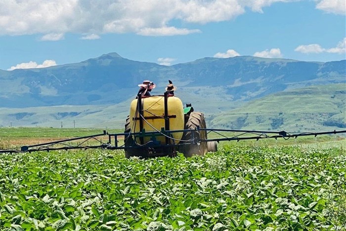 #YouthMonth: Yolanda Maphalala champions agri-tech innovation