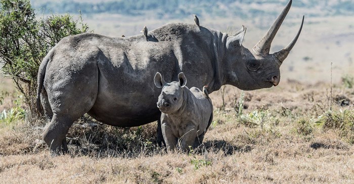 Image credit: David Clode on Unsplash