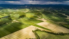 Source: sandro mattei via