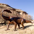 New dinosaur interpretation centre launches at Golden Gate Highlands