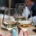 Wine in 2025: Pockets of growth despite sober start