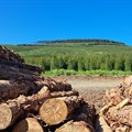 Source: Forestry South Africa