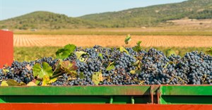 Land Bank opens applications for Wine and Spirits Fund to transform SA&#x2019;s liquor industry