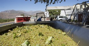 EU injects &#x20ac;15m to drive inclusive growth in SA wine sector