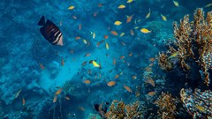 New report urges urgent investment in regenerative tourism innovation