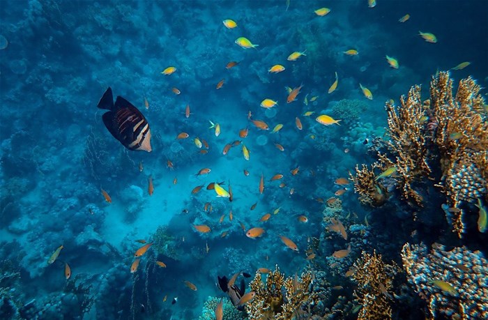 Source: wirestock via