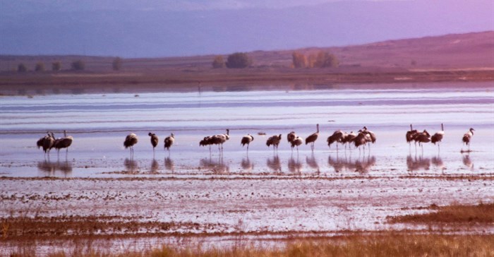 Image credit: Juanma Clemente-Alloza on Unsplash