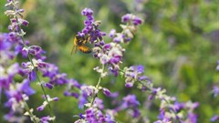 Image credit: Scotty Turner on Unsplash