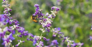 Image credit: Scotty Turner on Unsplash