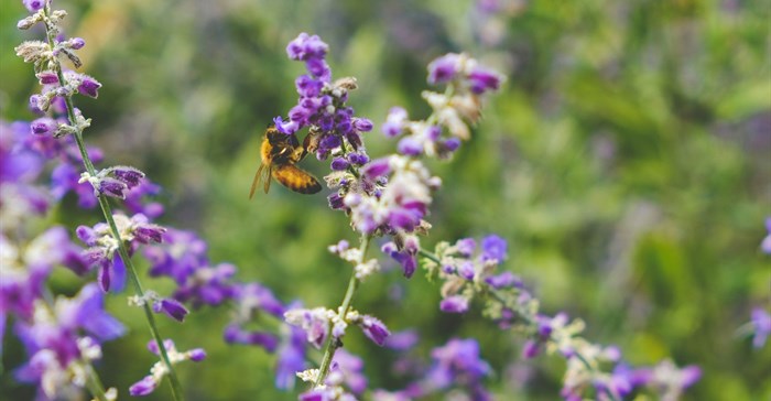 Image credit: Scotty Turner on Unsplash