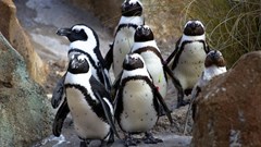 Image credit: Jen Dries on Unsplash