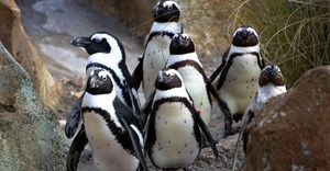 Image credit: Jen Dries on Unsplash