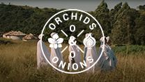 #Orchids&Onions: Spotify's ode to Zulu traditions