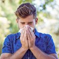 Big relief for little noses in South Africa&#x2019;s allergy care market