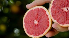 SA growers launch SummerStar Ruby grapefruit drive in Europe